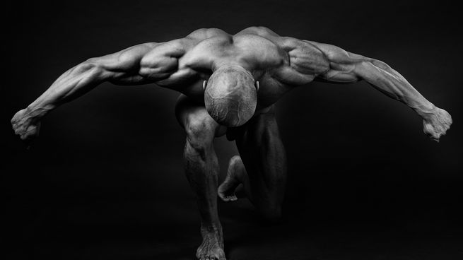 Understanding Fat Burner Pharmacological Agents